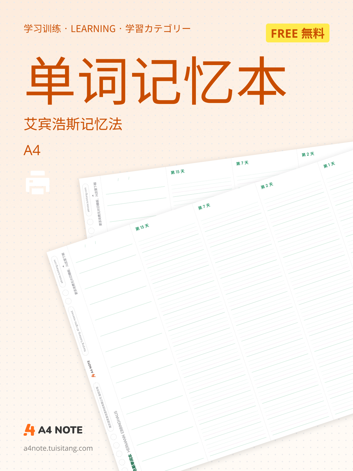 单词记忆训练 – 绿色